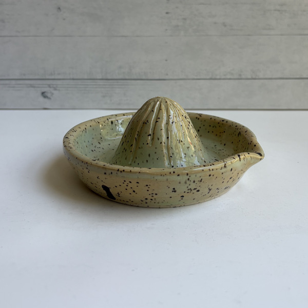 Sand & Sea citrus juicer