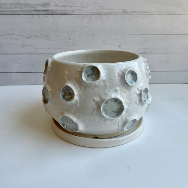 Moon planter