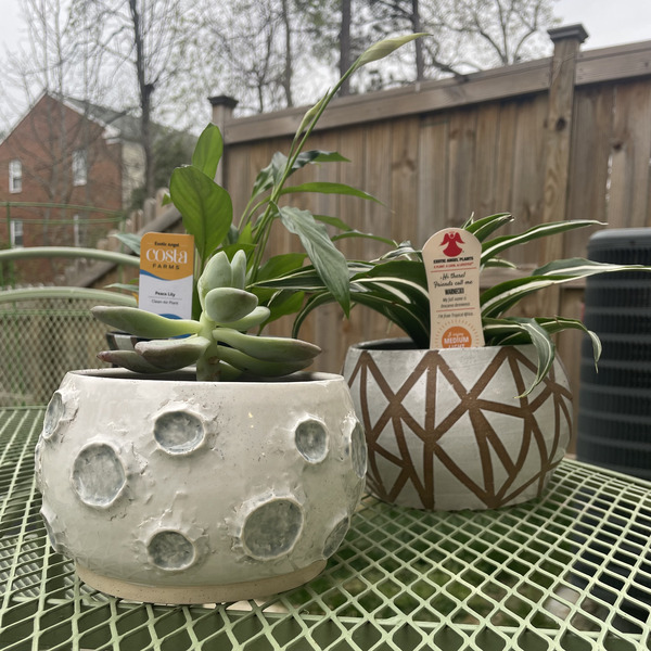 White geometric & moon planters